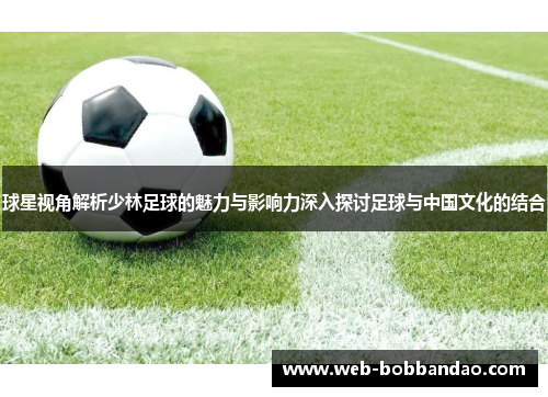 球星视角解析少林足球的魅力与影响力深入探讨足球与中国文化的结合